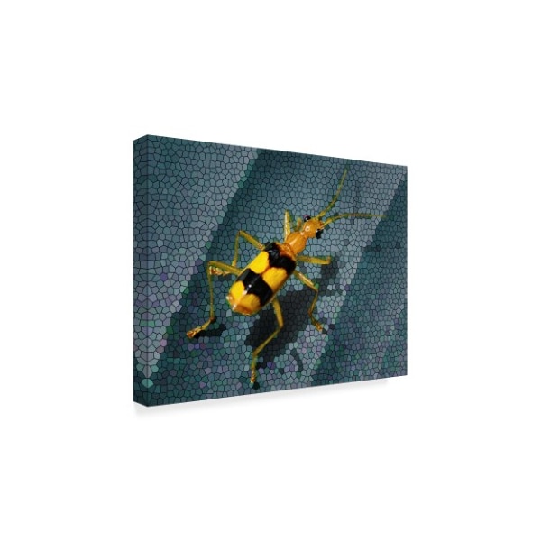 Dana Brett Munach 'Yellow Bug' Canvas Art,18x24